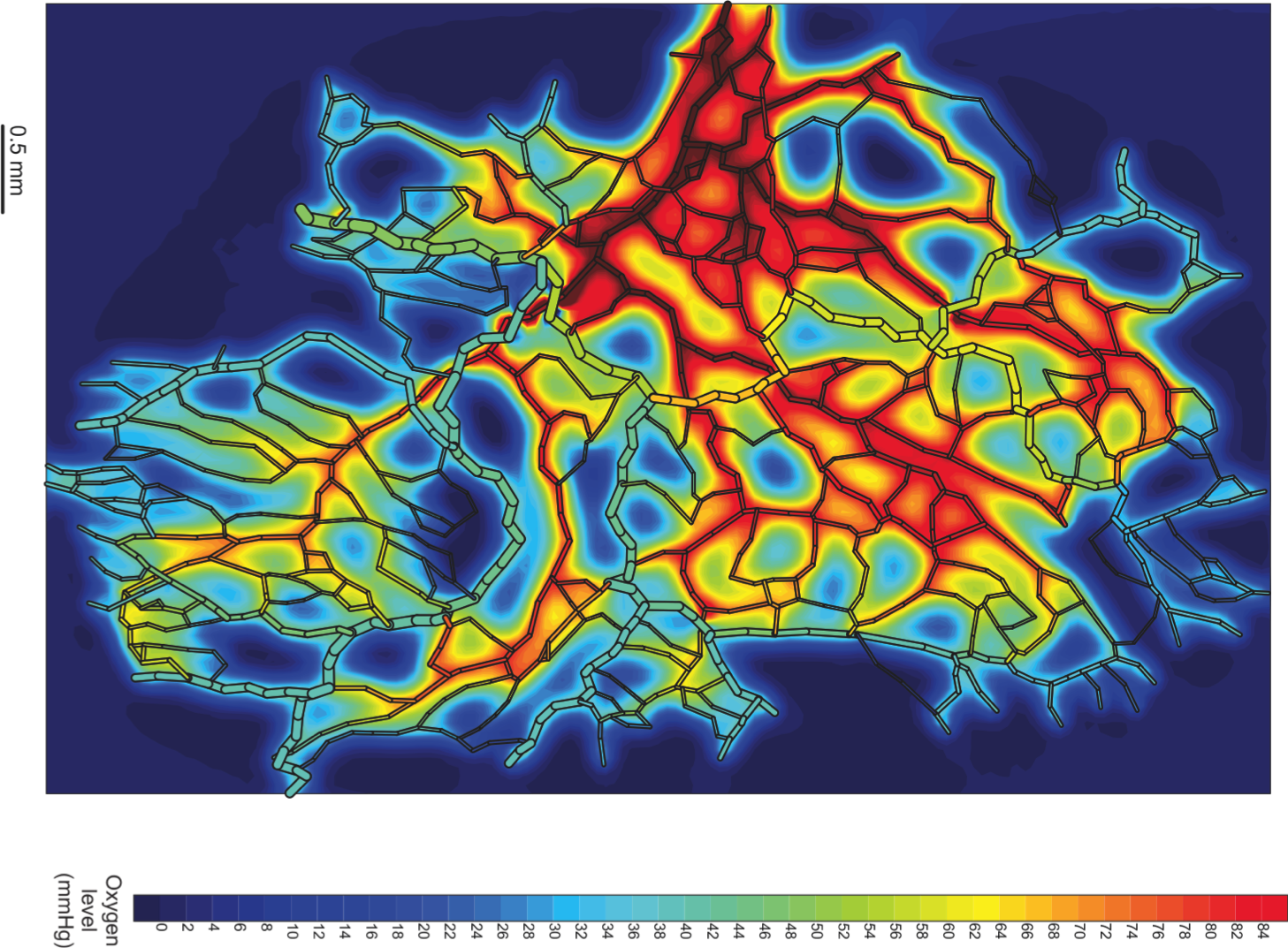 Oxygen_Map